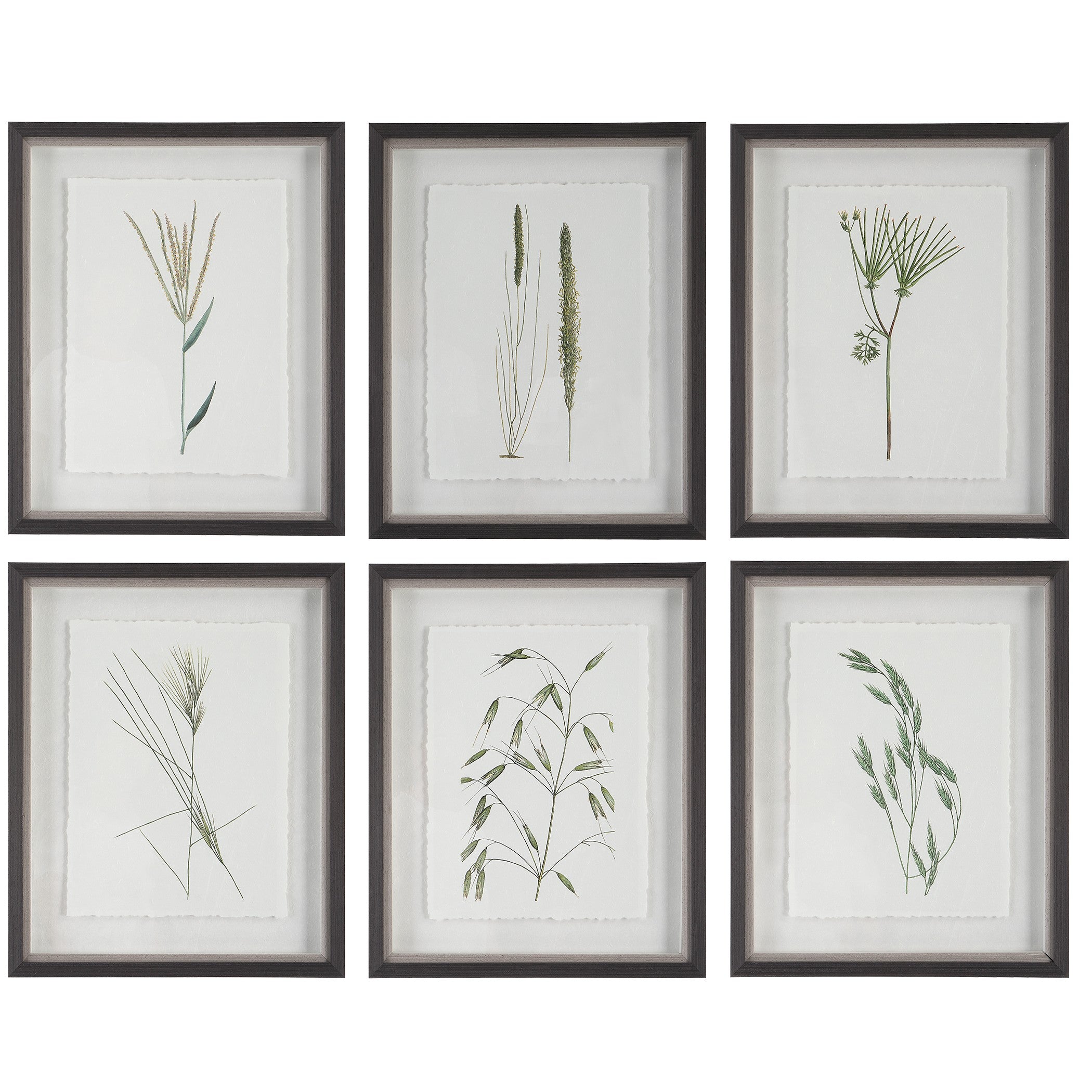 Forest Finds Framed Prints - Set of 6 by Uttermost
