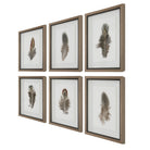Birds Of A Feather Framed Prints - Set of 6 by Uttermost