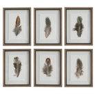 Birds Of A Feather Framed Prints - Set of 6 by Uttermost