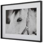 Eye Of The Beholder Framed Print by Uttermost