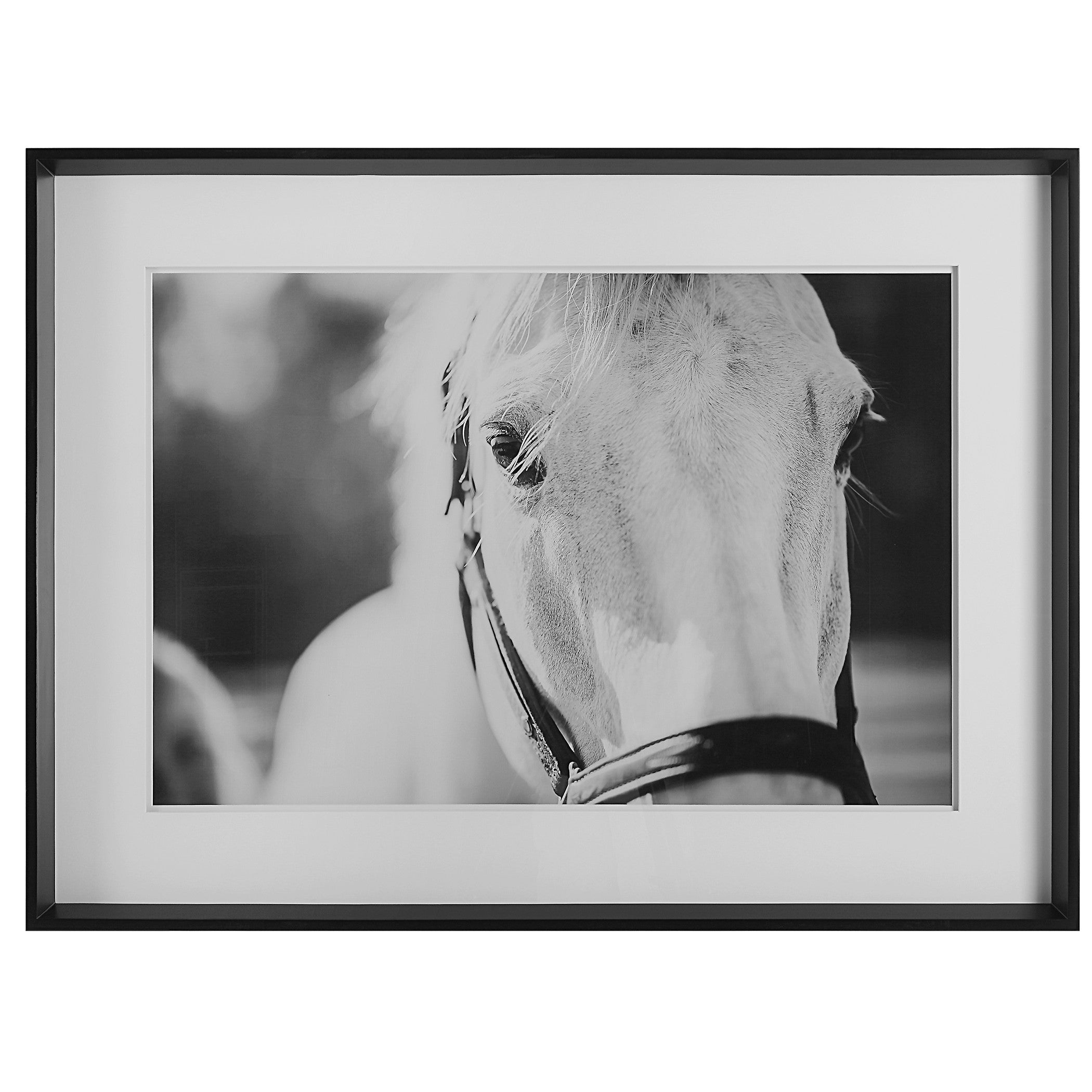 Eyes On The Prize Framed Print by Uttermost