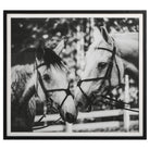 Apple Of My Eye Framed Print by Uttermost