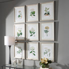 Antique Botanicals Framed Prints - Set of 9 by Uttermost