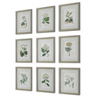 Antique Botanicals Framed Prints - Set of 9 by Uttermost
