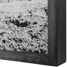 Galloping Forward Equine Prints - Set of 3 by Uttermost