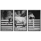 Galloping Forward Equine Prints - Set of 3 by Uttermost