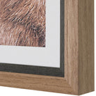 Big Horn Sheep Framed Print by Uttermost