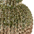 Out of my Gourd Vase in Sage - Small by Uttermost