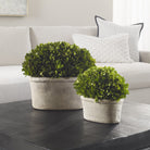 Oval Domes Preserved Boxwood - Set of 2 by Uttermost
