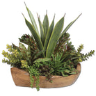 Salar Succulents In Teak Bowl by Uttermost
