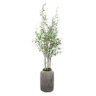 Aldis Potted River Birch by Uttermost