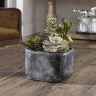 Alverio Desert Garden Succulents by Uttermost