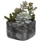 Alverio Desert Garden Succulents by Uttermost