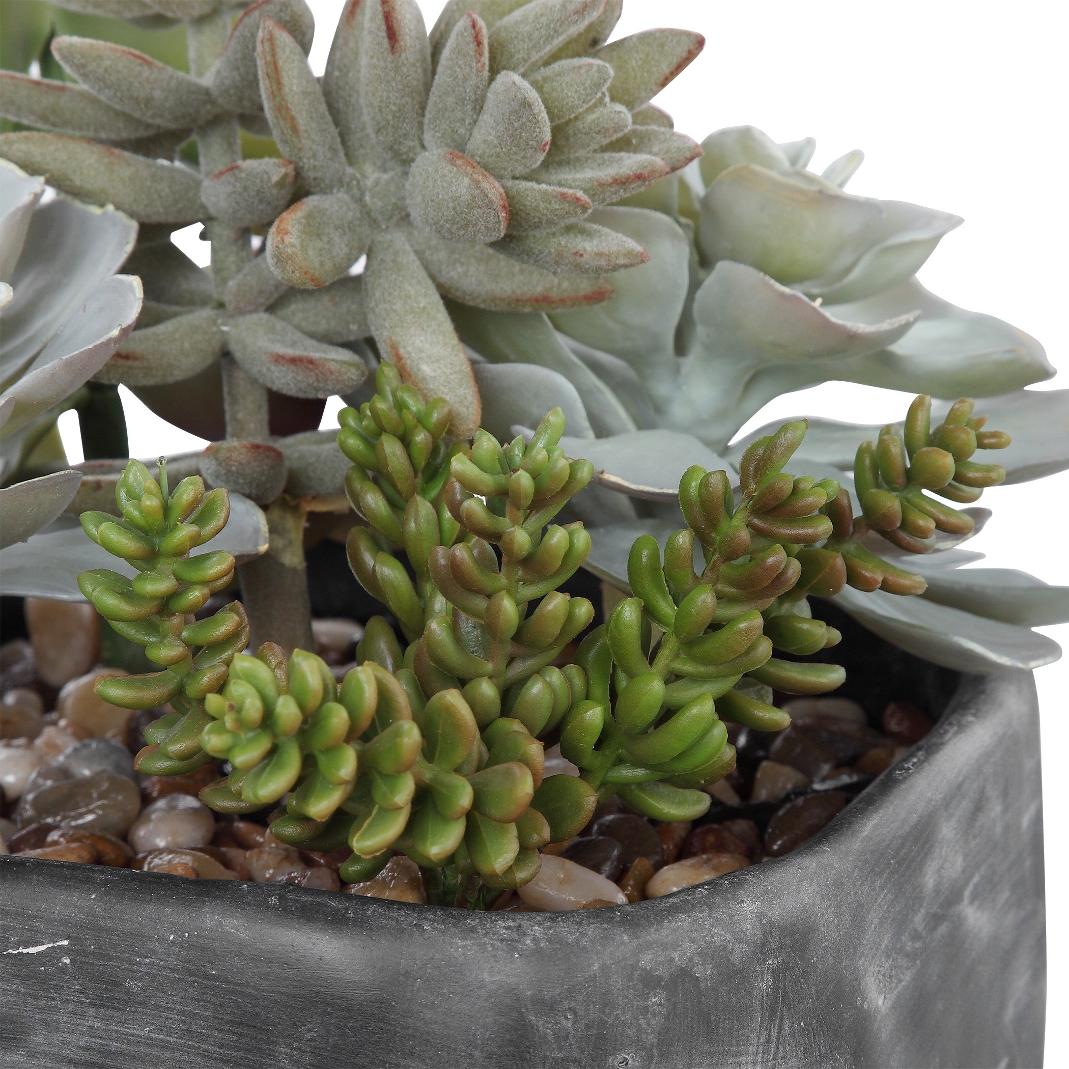 Alverio Desert Garden Succulents by Uttermost