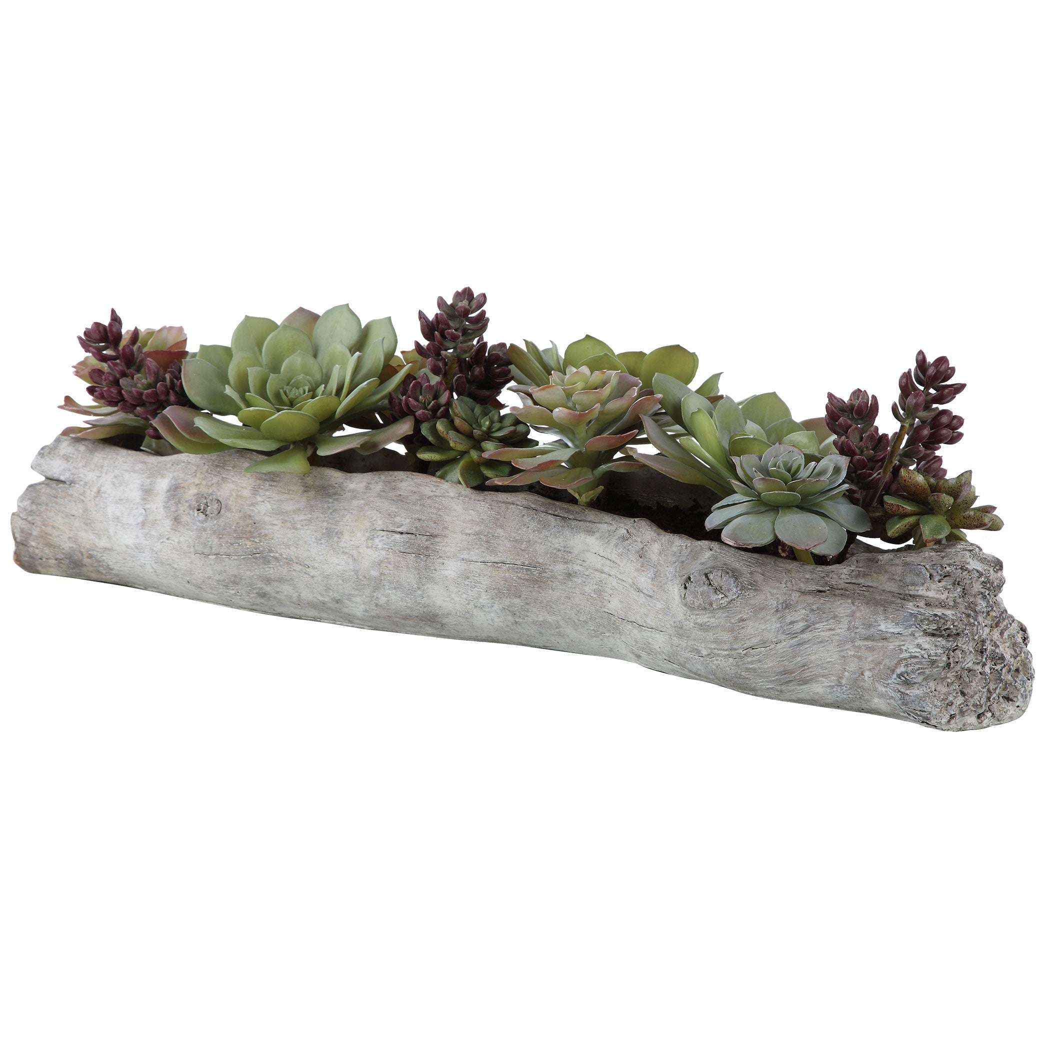 Charita Lush Succulents by Uttermost