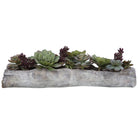 Charita Lush Succulents by Uttermost