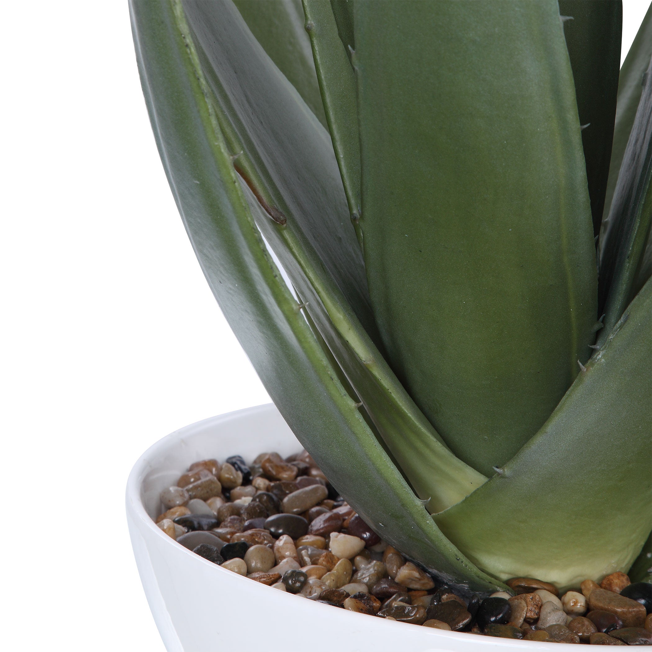 Evarado Aloe Planter by Uttermost