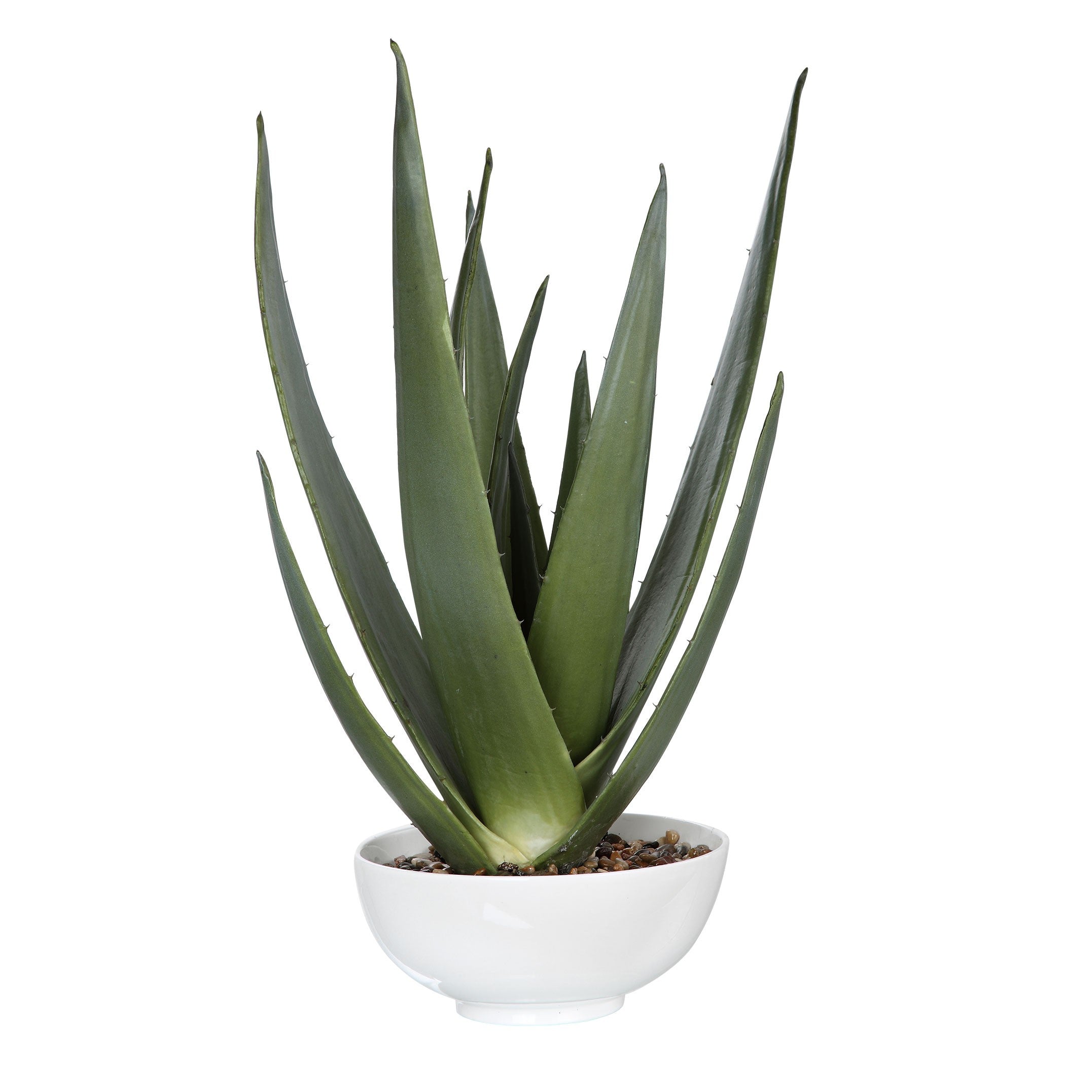 Evarado Aloe Planter by Uttermost