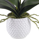 Cami White Orchid by Uttermost