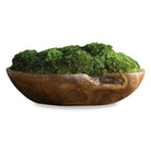 Kinsale Moss Centerpiece by Uttermost