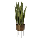 Fasita Brass Planter by Uttermost