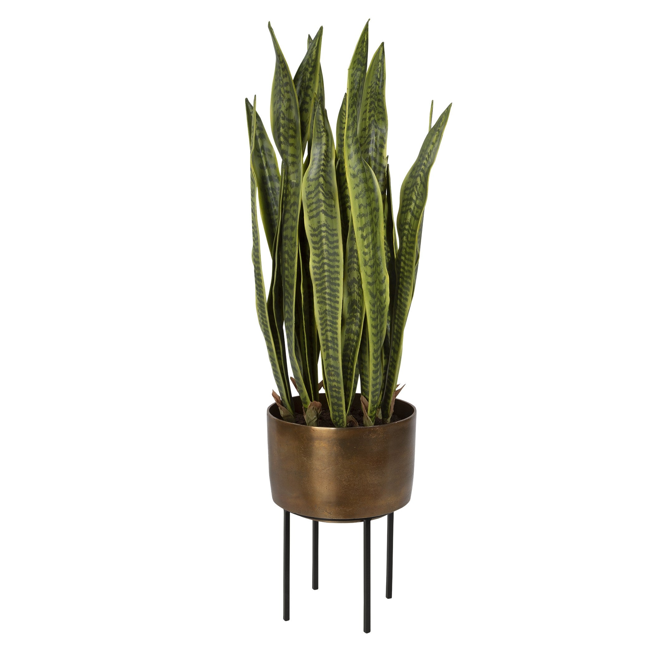 Fasita Brass Planter by Uttermost