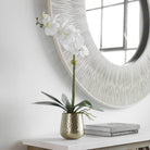 Cami Orchid With Brass Pot by Uttermost