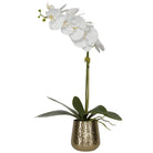Cami Orchid With Brass Pot by Uttermost