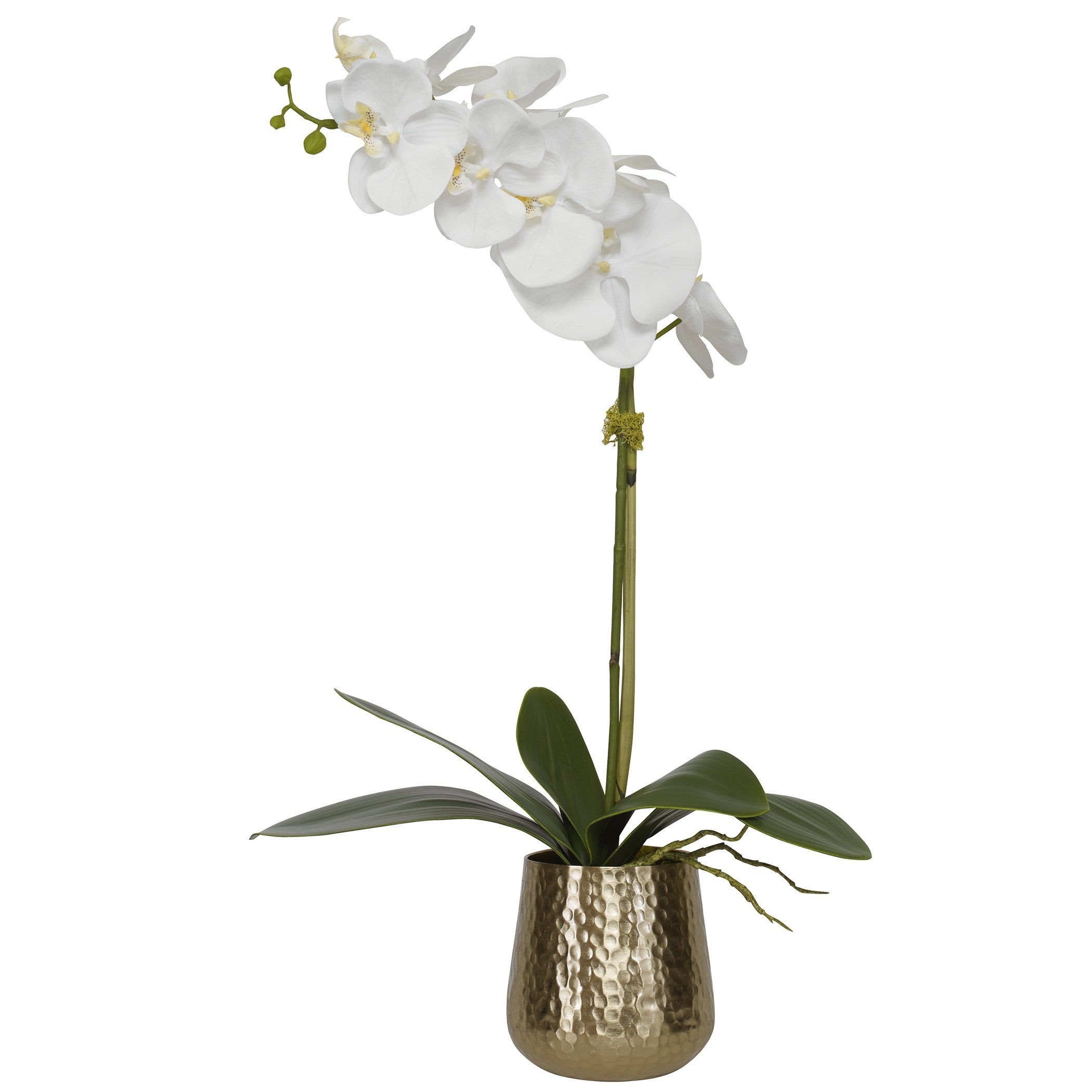Cami Orchid With Brass Pot by Uttermost