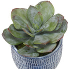 Puebla Greenery In Blue & White Pots - Set of 3 by Uttermost