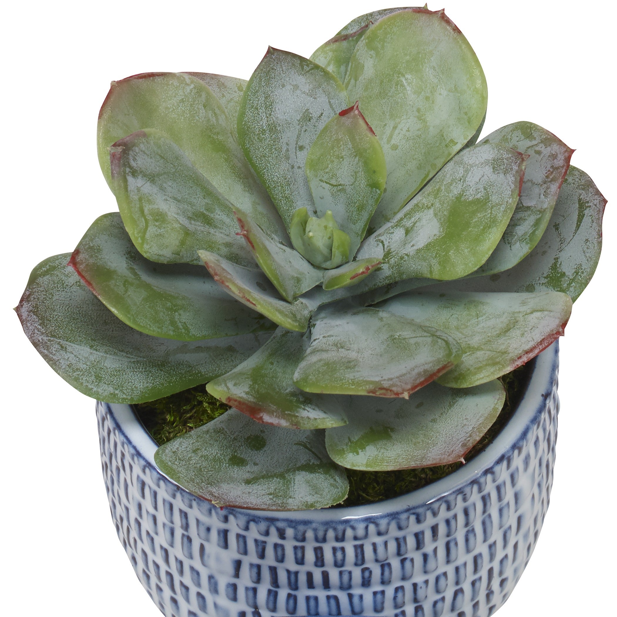Puebla Greenery In Blue & White Pots - Set of 3 by Uttermost
