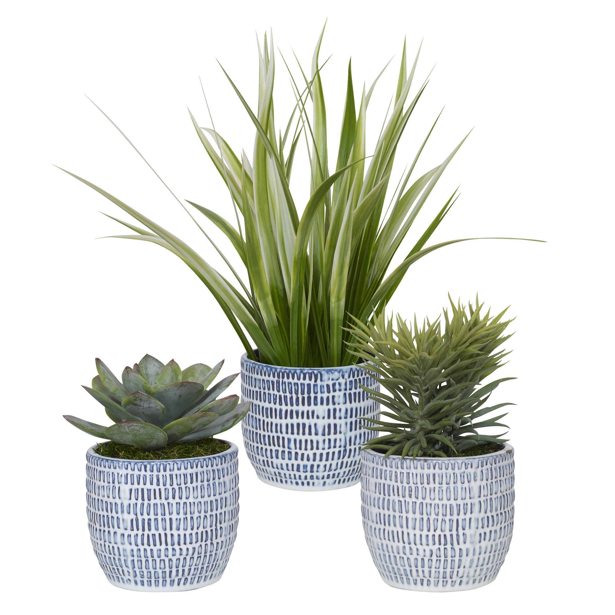 Puebla Greenery In Blue & White Pots - Set of 3 by Uttermost
