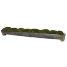 Canal Moss Centerpiece by Uttermost