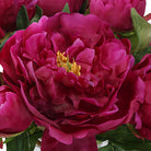 Prima Peony Bouquet by Uttermost