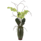Valdive Orchid by Uttermost