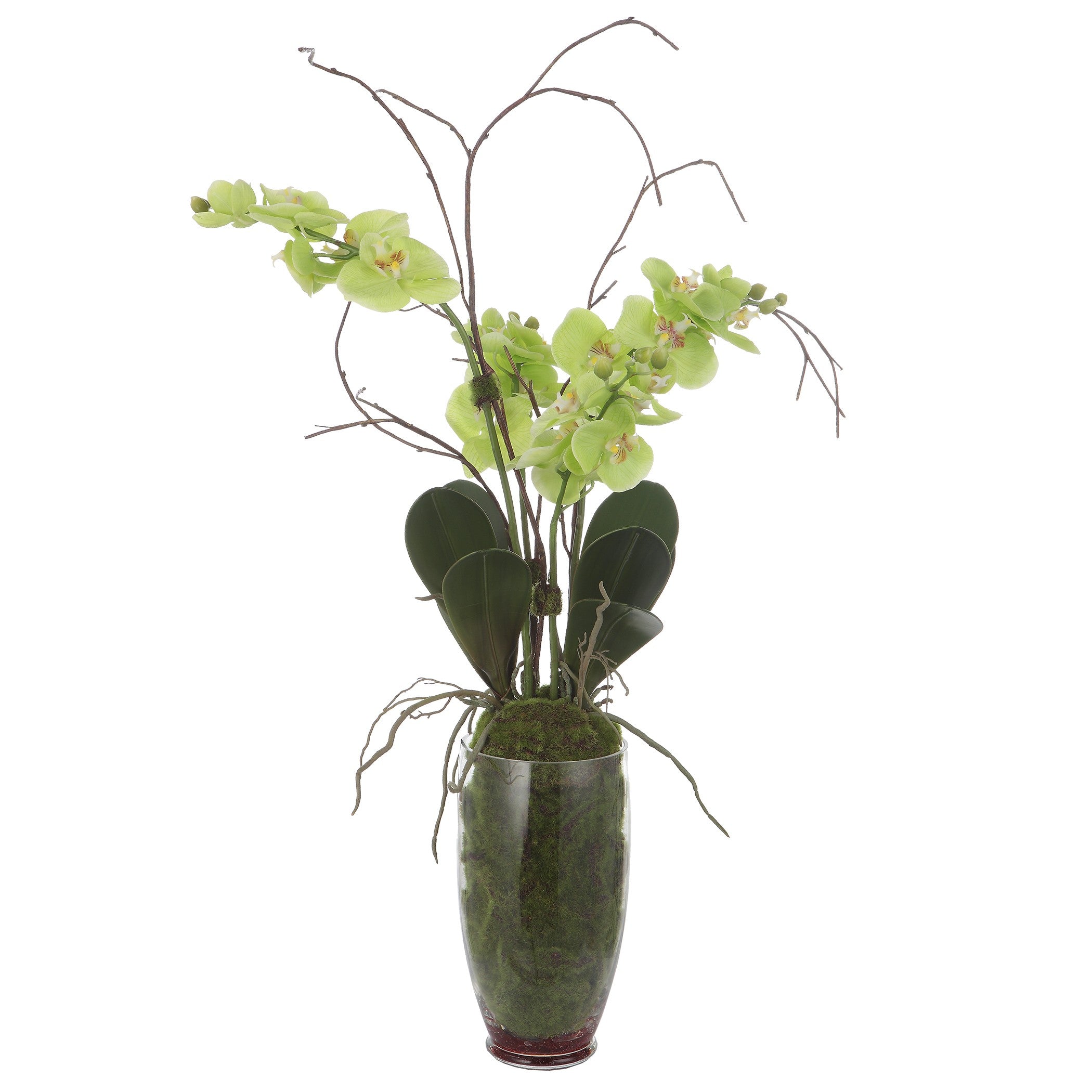 Valdive Orchid by Uttermost