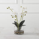 Glory Orchid by Uttermost