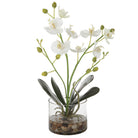 Glory Orchid by Uttermost