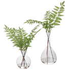 Country Ferns - Set of 2 by Uttermost