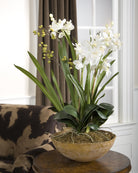 Moth Orchid Planter by Uttermost