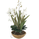 Moth Orchid Planter by Uttermost
