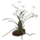 Clovis Orchid Drop-In Uttermost