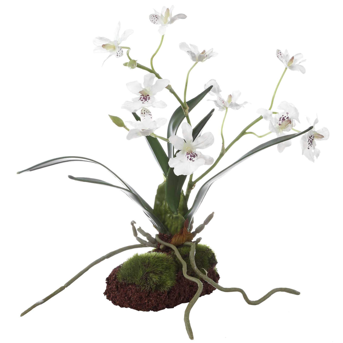 Clovis Orchid Drop-In Uttermost