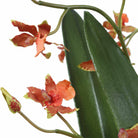 Dancing Orchid In Glass Vase Uttermost