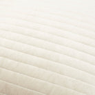 Digby Velvet Cushion in Oatmeal by Keiichi