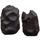 Ember Root Teak Sculpture, Set of 2 Uttermost
