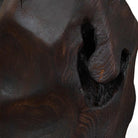 Ember Root Teak Sculpture, Set of 2 Uttermost