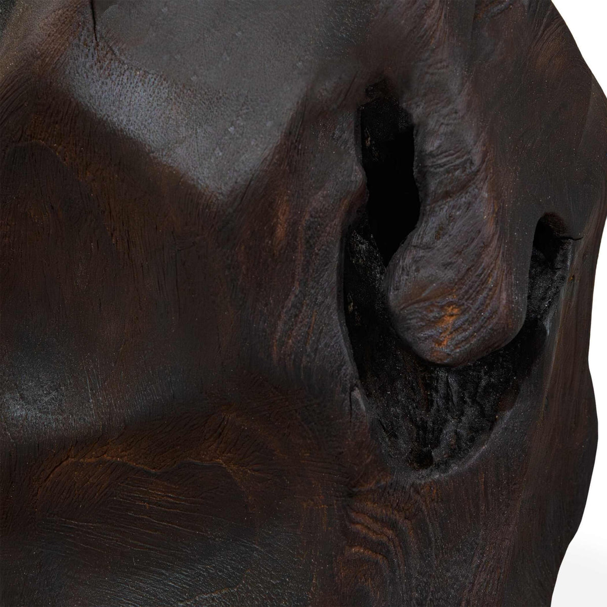 Ember Root Teak Sculpture, Set of 2 Uttermost