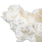 Drift Artificial Coral Sculpture by Keiichi