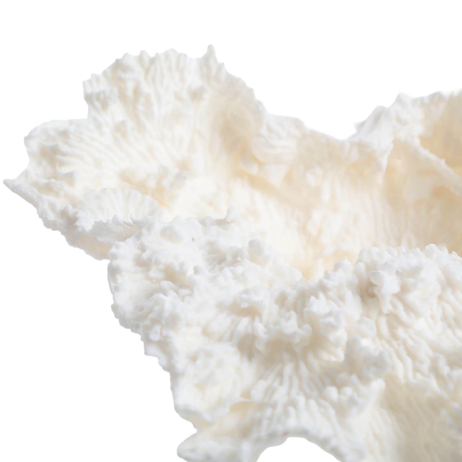Drift Artificial Coral Sculpture by Keiichi